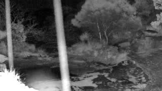 Still 1 from this detection