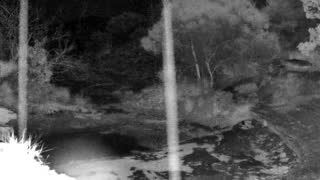 Still 1 from this detection