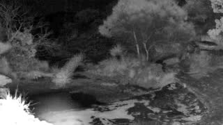 Still 3 from this detection