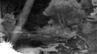 Still 1 from this detection