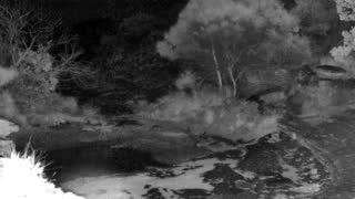 Still 3 from this detection