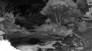 Still 2 from this detection