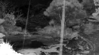 Still 1 from this detection