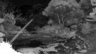 Still 2 from this detection