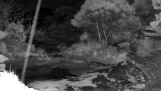 Still 1 from this detection