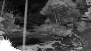 Still 3 from this detection