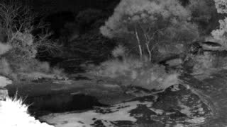 Still 1 from this detection