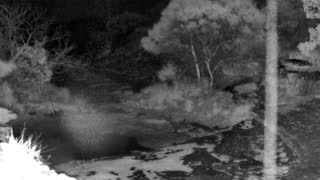 Still 3 from this detection