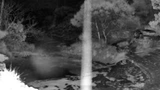 Still 2 from this detection