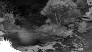 Still 1 from this detection