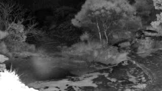 Still 2 from this detection