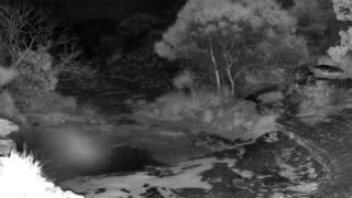 Still 1 from this detection