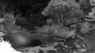 Still 2 from this detection