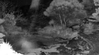 Still 3 from this detection