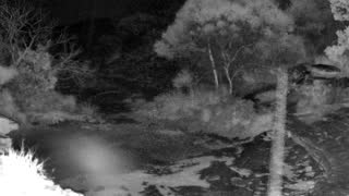 Still 2 from this detection