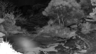 Still 3 from this detection
