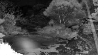Still 1 from this detection