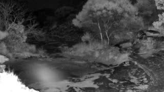 Still 2 from this detection