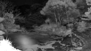Still 2 from this detection