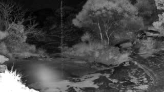 Still 1 from this detection