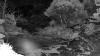 Still 2 from this detection