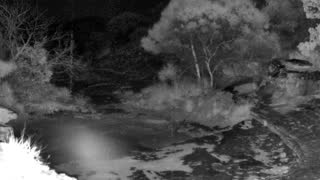 Still 3 from this detection