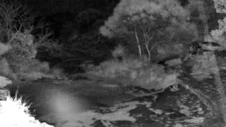Still 1 from this detection