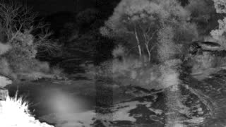 Still 3 from this detection