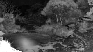 Still 1 from this detection