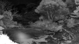 Still 2 from this detection