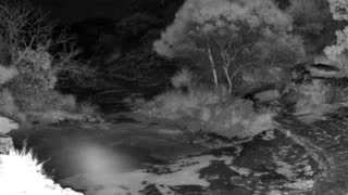 Still 3 from this detection