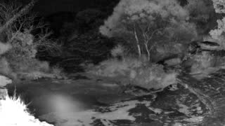 Still 3 from this detection