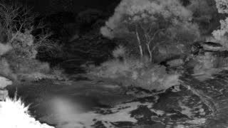 Still 1 from this detection
