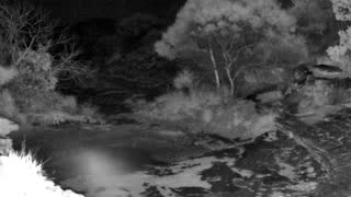 Still 2 from this detection