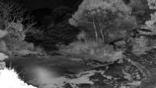 Still 3 from this detection