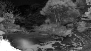 Still 1 from this detection