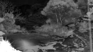 Still 2 from this detection