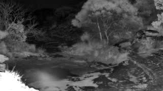 Still 2 from this detection