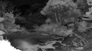 Still 1 from this detection