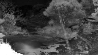 Still 2 from this detection