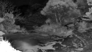 Still 3 from this detection