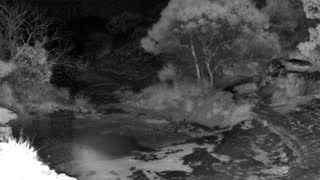 Still 1 from this detection