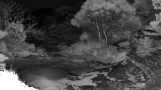 Still 1 from this detection