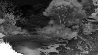 Still 3 from this detection