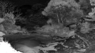 Still 1 from this detection