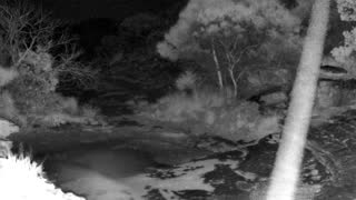 Still 2 from this detection