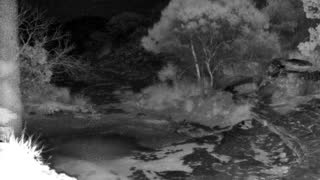 Still 1 from this detection