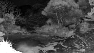Still 2 from this detection