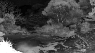 Still 3 from this detection