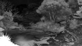 Still 1 from this detection